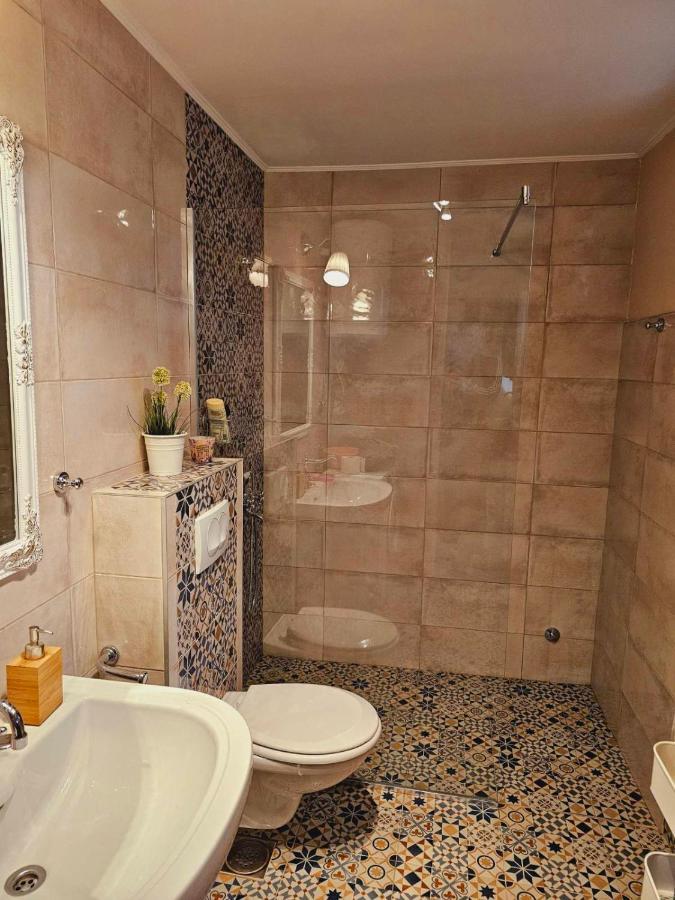 Villa Fruska House à Besenovacki Prnjavor Extérieur photo
